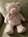 Pink Teddy